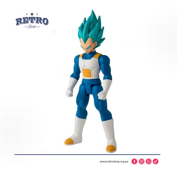 Vegeta Super Saiyan Blue