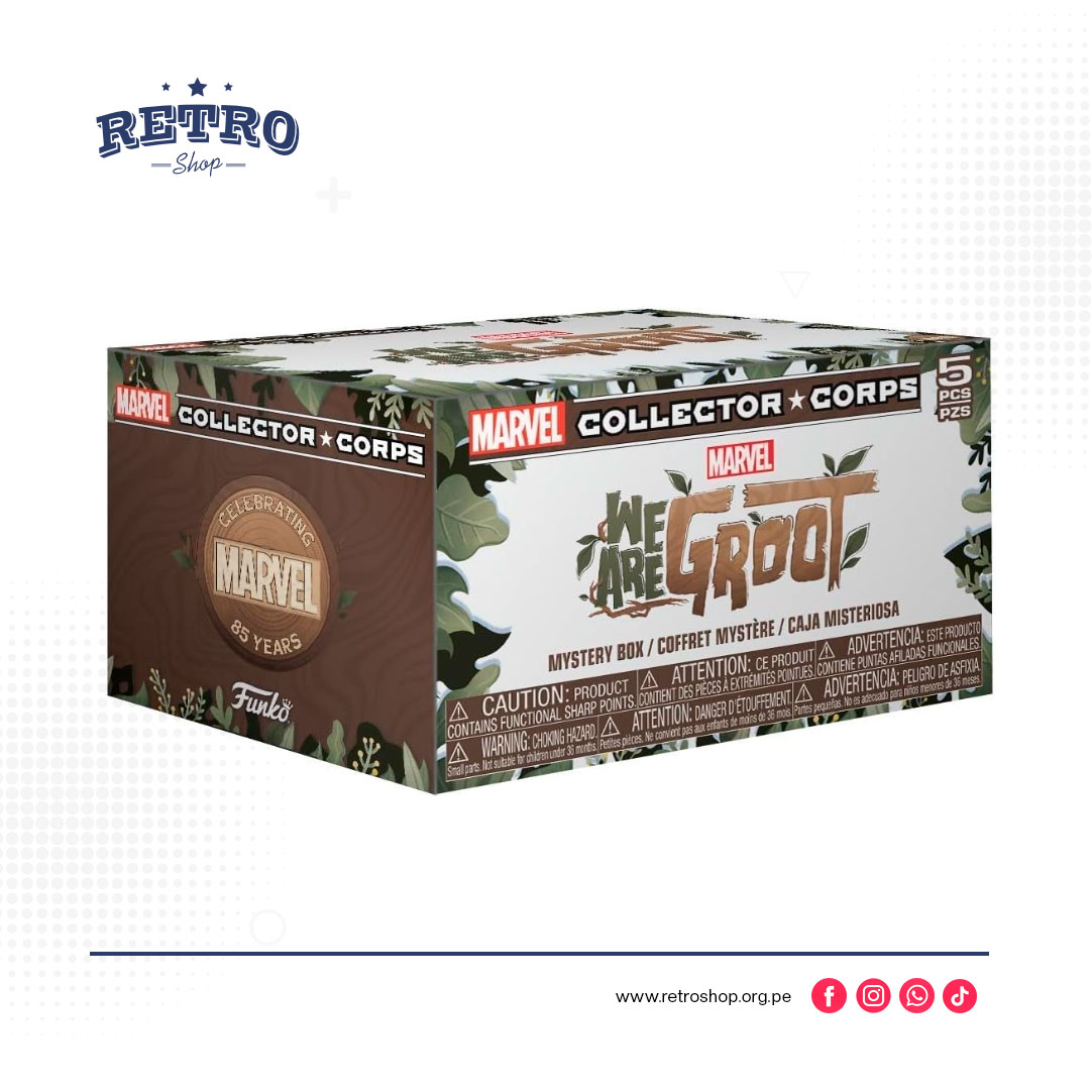 Funko Caja de suscripción de Marvel Collector Corp: We are Groot - L