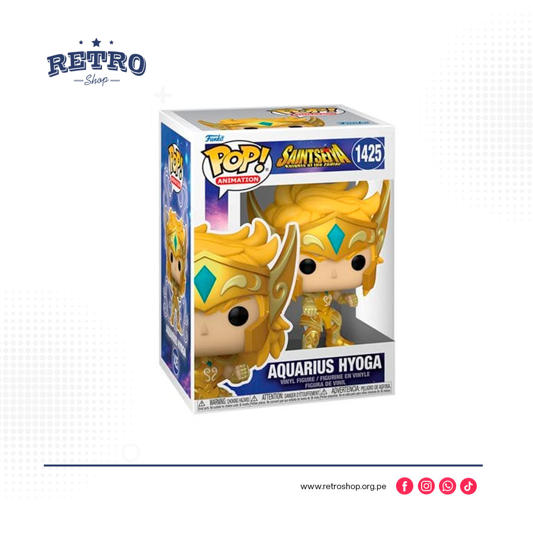 Saint Seiya - Aquarius Hyoga #1425