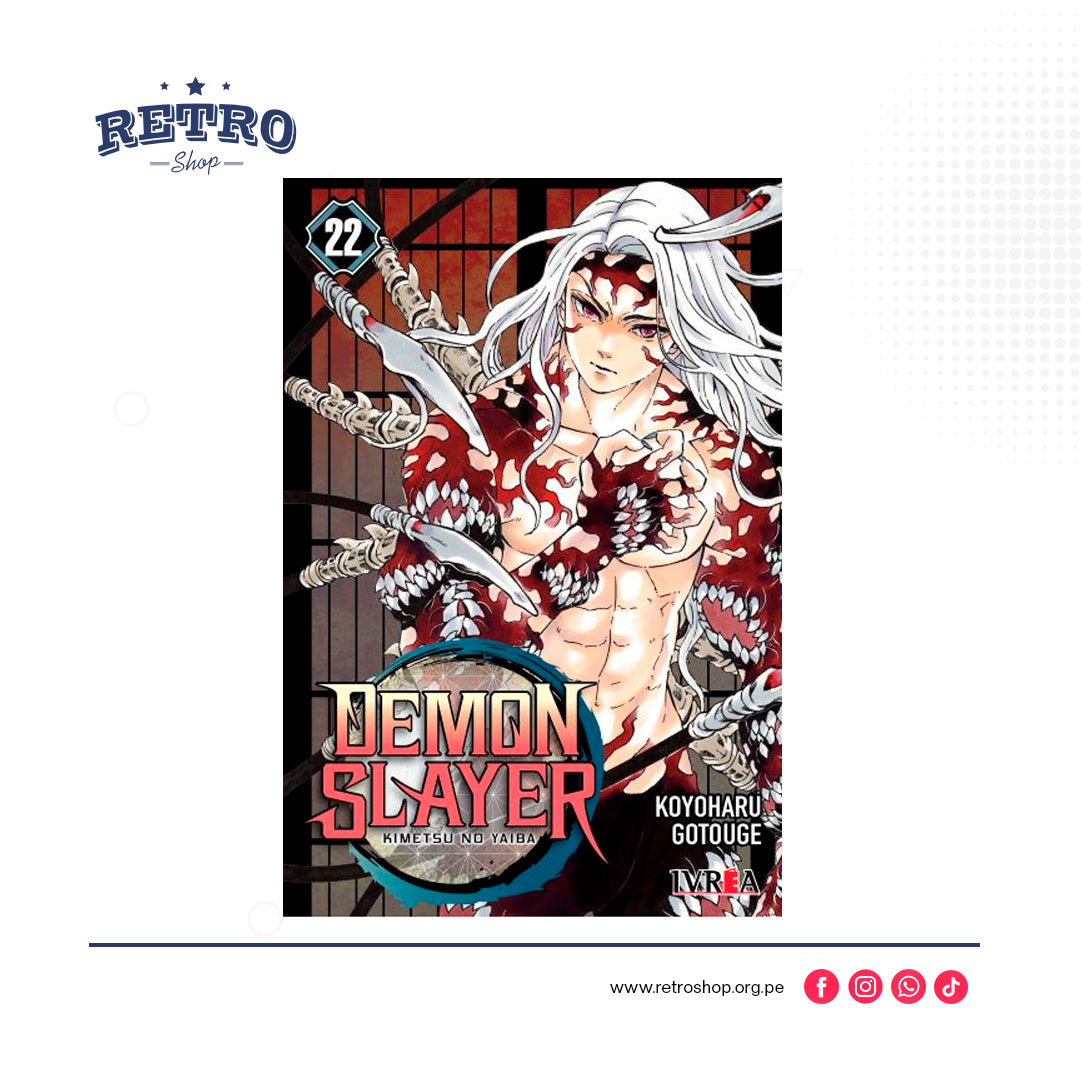 Kimetsu no Yaiba (Demon Slayer) #22
